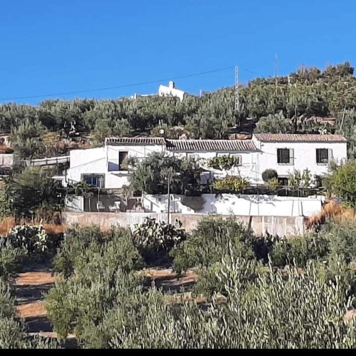 Cortijo El Cerro Apartamento Alcaudete Exterior foto